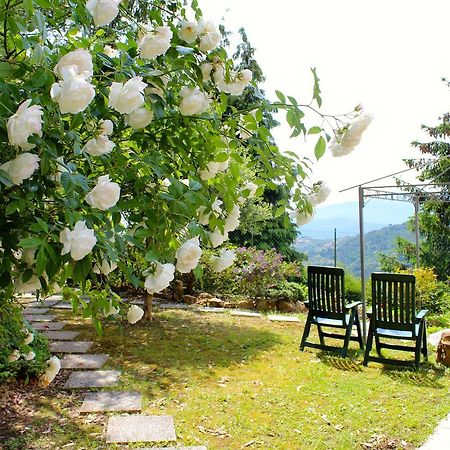 Sb Bed & Breakfast เซบอร์กา ภายนอก รูปภาพ